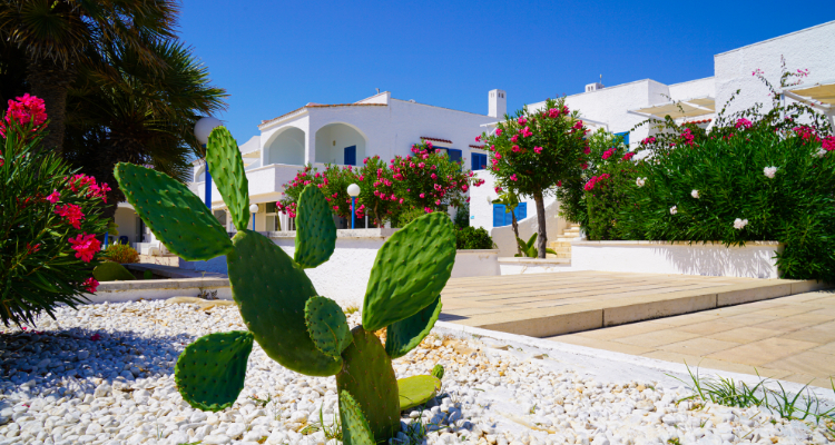 Promo al Mapo Village Plaia - Dal 7 al 14 Settembre