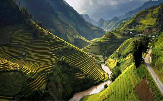 Vietnam