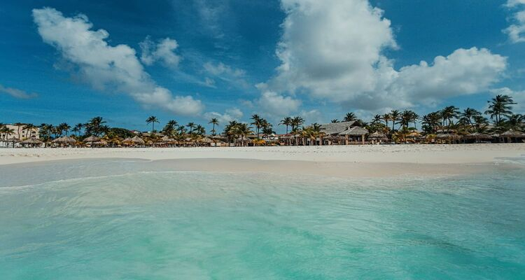 Mapo Travel incontra le agenzie di viaggio: focus su Aruba e Arabia Saudita