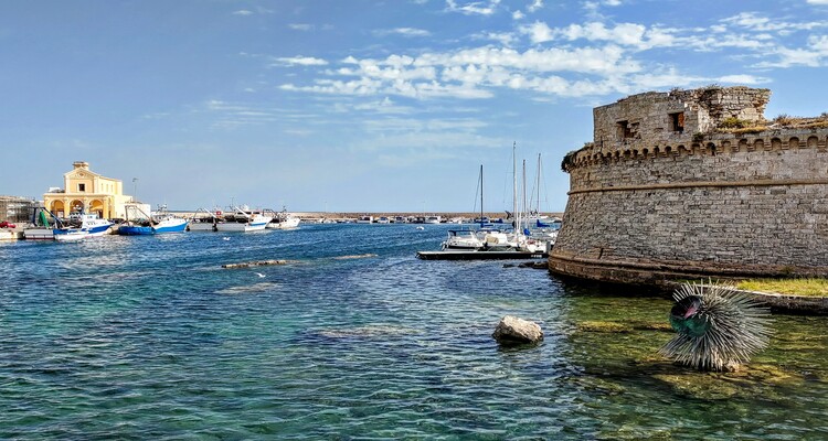 Gallipoli