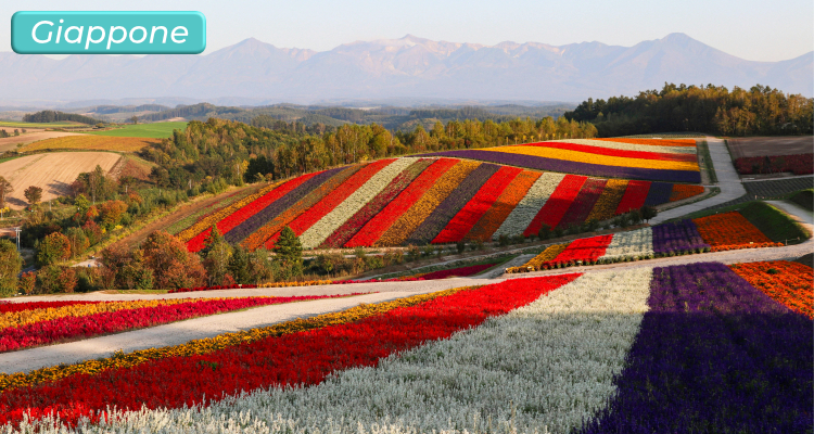Tokyo e Self Drive Hokkaido
